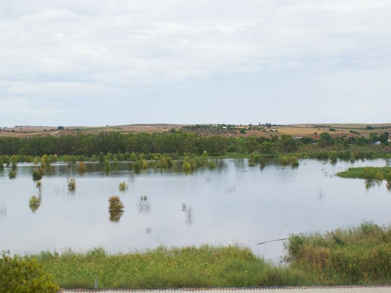 195 (Lot 4) Purnong Road, Mannum SA 5238