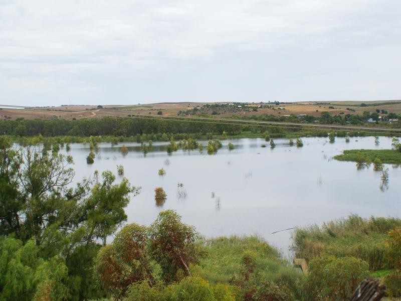 195 (Lot 4) Purnong Road, Mannum SA 5238