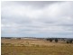 Lot 11 Paech Road, Monarto SA 5254