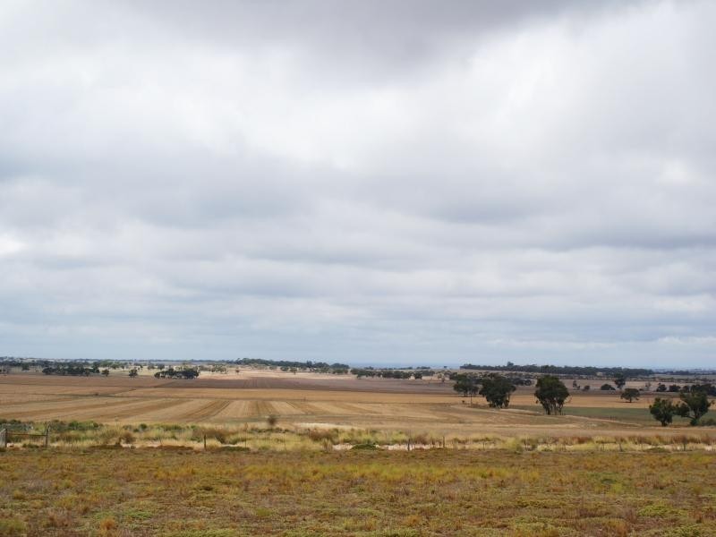 Lot 11 Paech Road, Monarto SA 5254