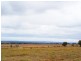 Lot 11 Paech Road, Monarto SA 5254