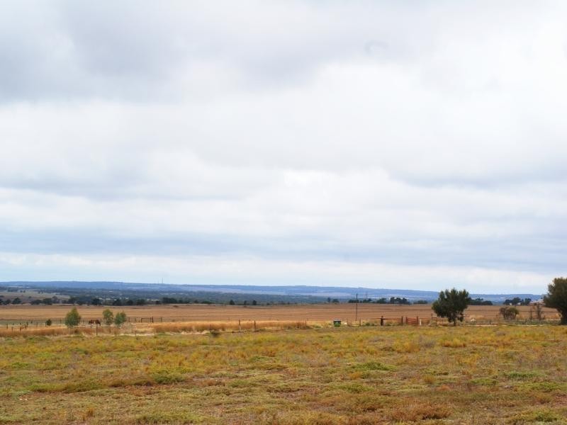 Lot 11 Paech Road, Monarto SA 5254