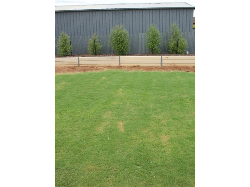 54 Mitchell Avenue, Murray Bridge SA 5253