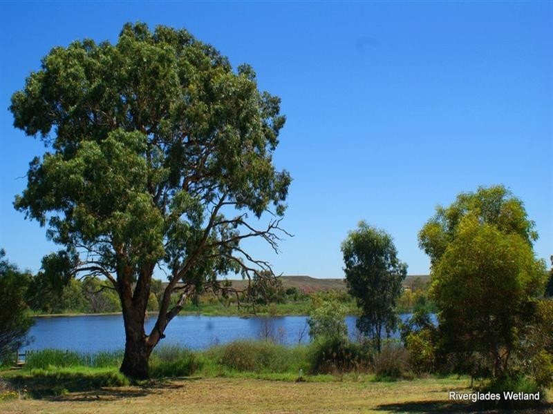 10 Torrens Road, Murray Bridge SA 5253