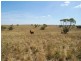 Lot 5 Mountain View Road, Monarto SA 5254