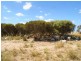 Lot 5 Mountain View Road, Monarto SA 5254