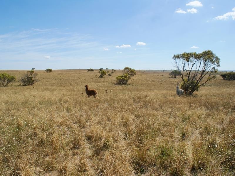 Lot 5 Mountain View Road, Monarto SA 5254