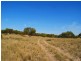 Lot 5 Mountain View Road, Monarto SA 5254