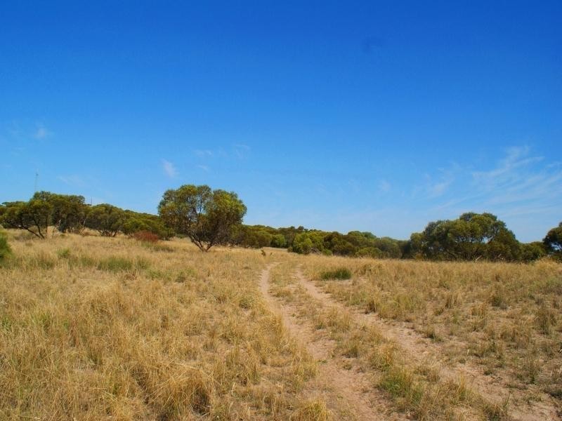 Lot 5 Mountain View Road, Monarto SA 5254