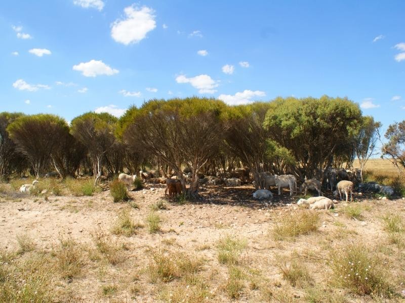 Lot 5 Mountain View Road, Monarto SA 5254