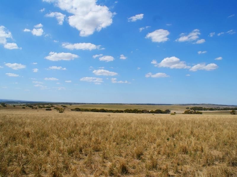 Lot 5 Mountain View Road, Monarto SA 5254