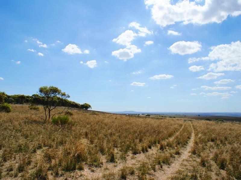 Lot 5 Mountain View Road, Monarto SA 5254