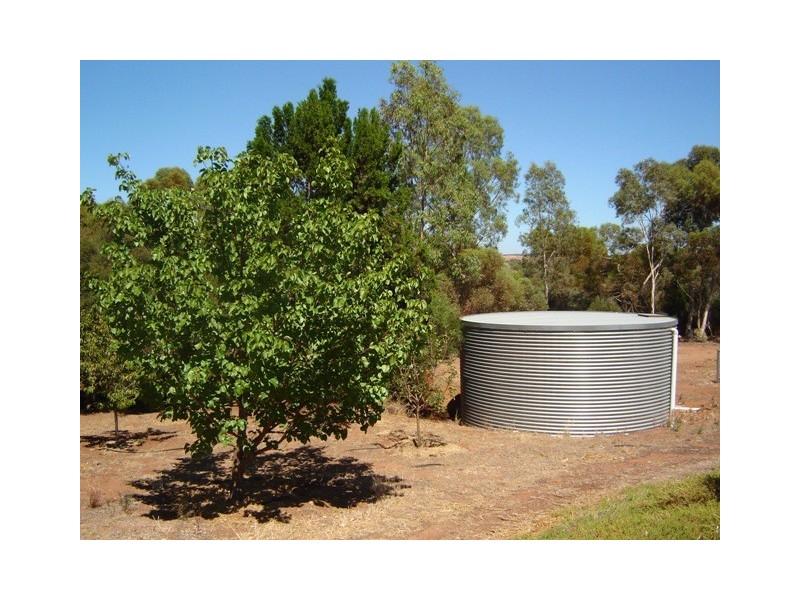 31 Loddon Road, Murray Bridge SA 5253