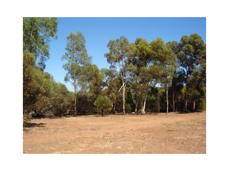 31 Loddon Road, Murray Bridge SA 5253