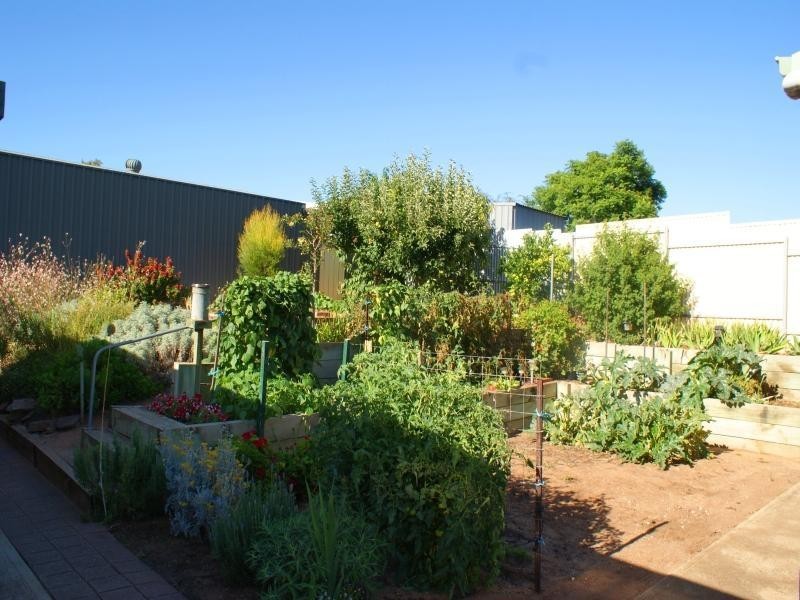 15 Mellor Road, Murray Bridge SA 5253