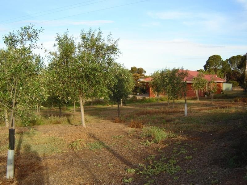 9 Virgo Road, Murray Bridge SA 5253