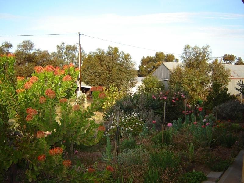 9 Virgo Road, Murray Bridge SA 5253