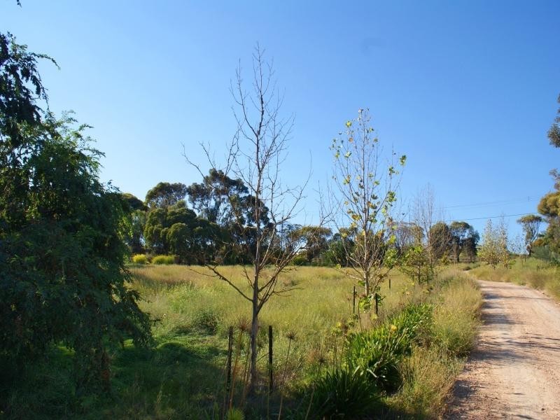 Lot 10 Mitchell Avenue, Murray Bridge SA 5253