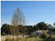 Lot 10 Mitchell Avenue, Murray Bridge SA 5253