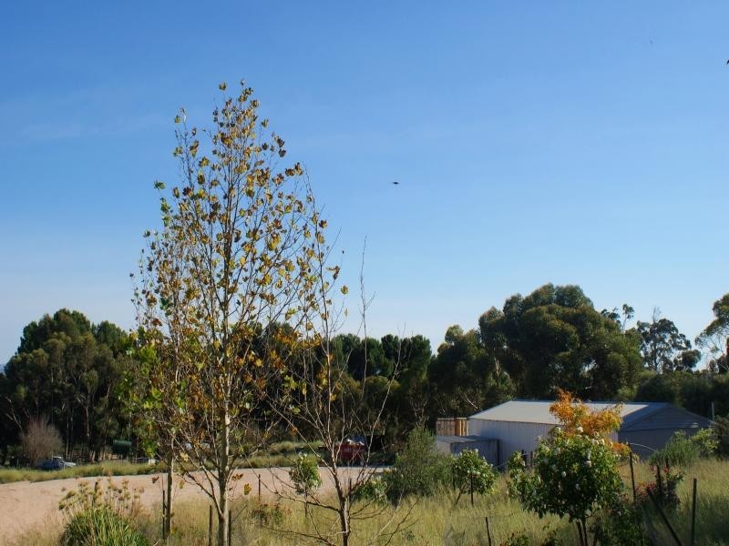Lot 10 Mitchell Avenue, Murray Bridge SA 5253