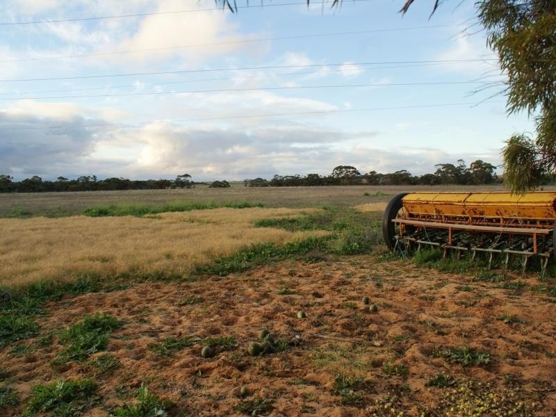 Sec 472 Mannum Road, Murray Bridge SA 5253