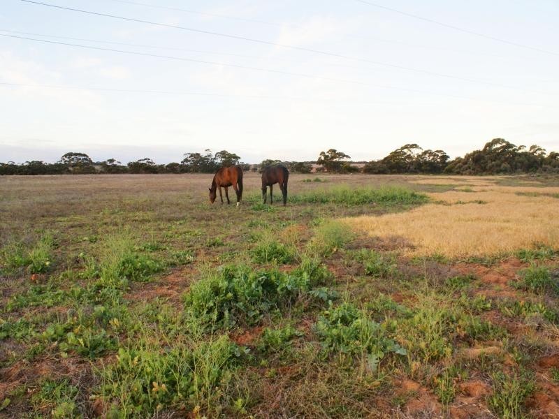 Sec 472 Mannum Road, Murray Bridge SA 5253