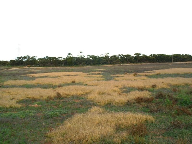 Sec 472 Mannum Road, Murray Bridge SA 5253