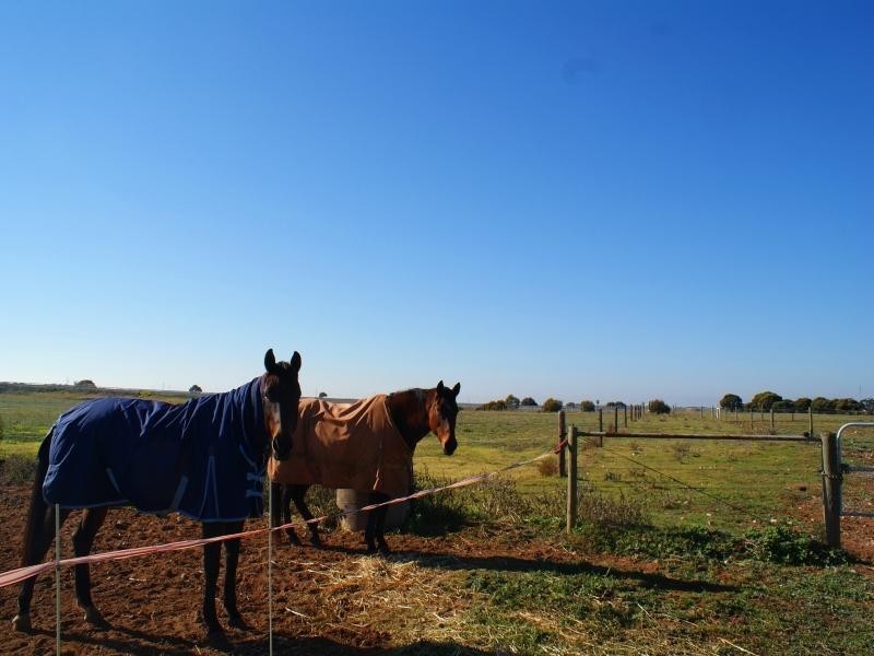 3 Queen Louisa Drive, Murray Bridge SA 5253