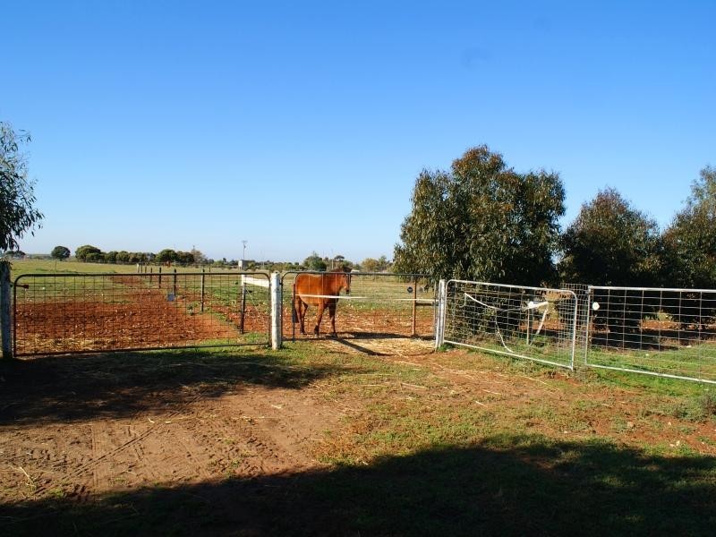 3 Queen Louisa Drive, Murray Bridge SA 5253