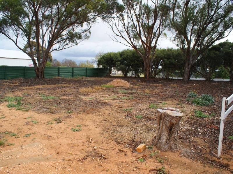 115 Princes Highway, Murray Bridge SA 5253
