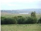 16 Coonawarra Road, Sunnyside SA 5253