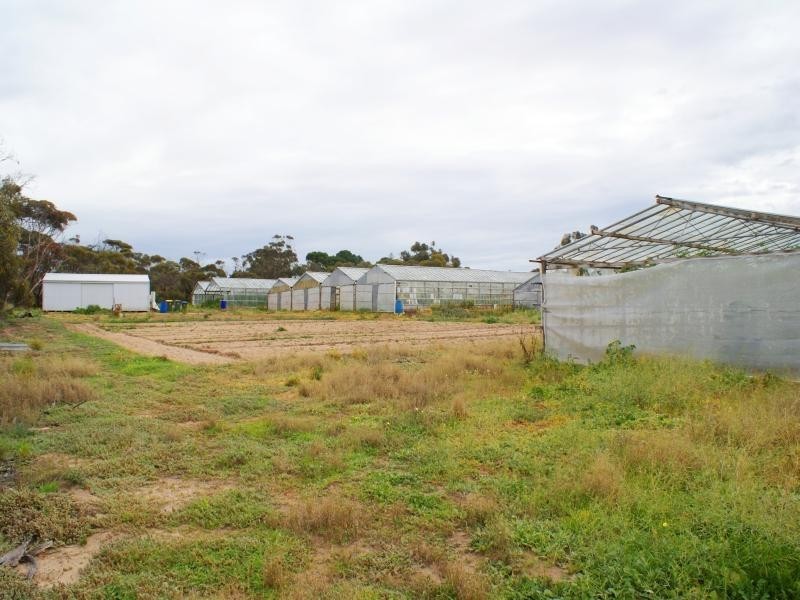 Lot 162 Old Swanport Road, Murray Bridge SA 5253