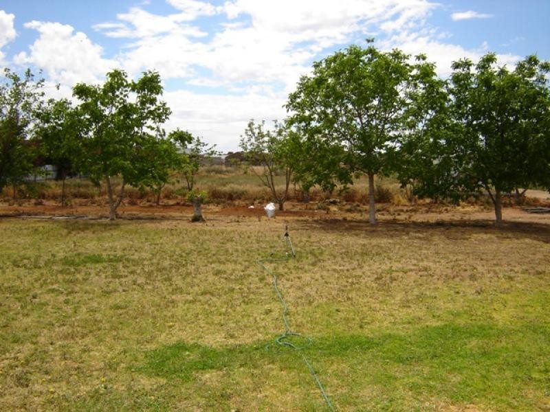 8A Hindmarsh Road, Murray Bridge SA 5253