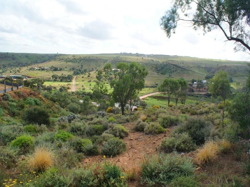 Lot 101 Crawford Crescent, Mannum SA 5238