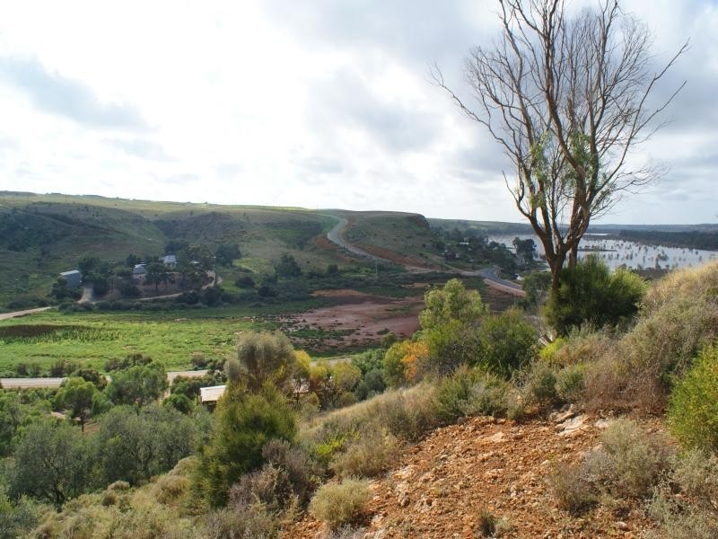 Lot 101 Crawford Crescent, Mannum SA 5238