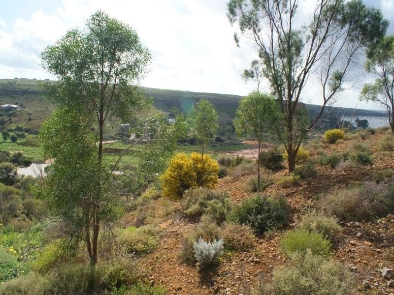 Lot 101 Crawford Crescent, Mannum SA 5238