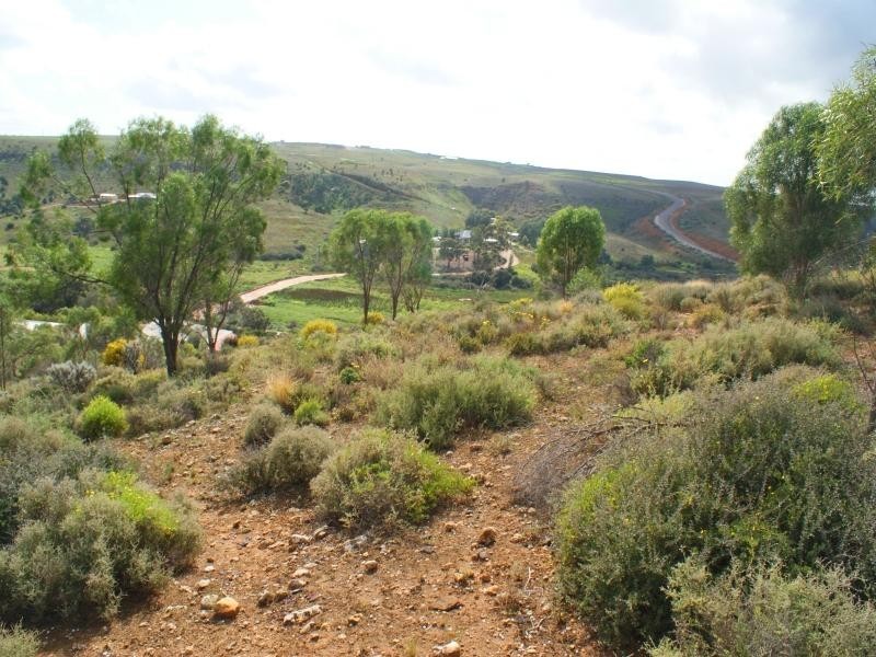 Lot 101 Crawford Crescent, Mannum SA 5238