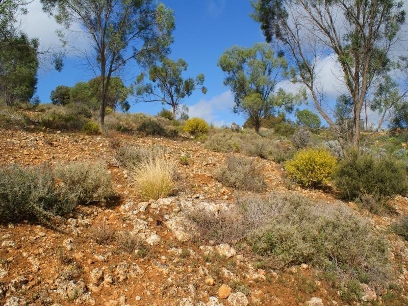 Lot 101 Crawford Crescent, Mannum SA 5238