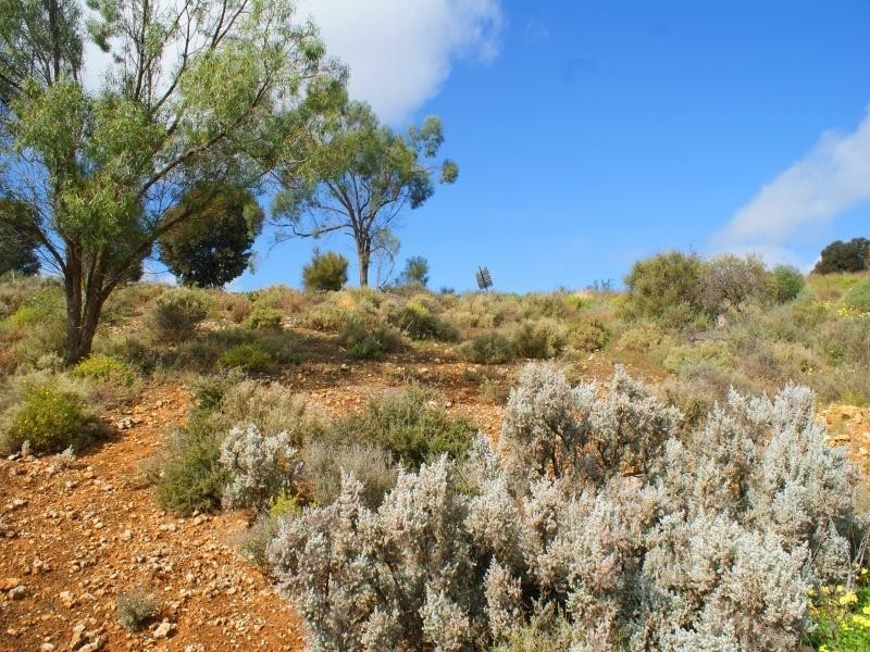 Lot 101 Crawford Crescent, Mannum SA 5238