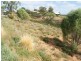 Lot 101 Crawford Crescent, Mannum SA 5238