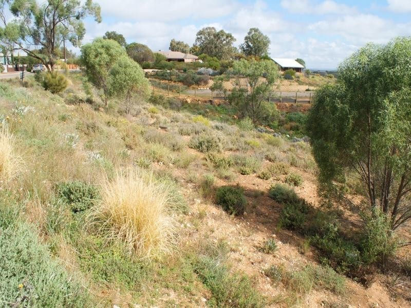 Lot 101 Crawford Crescent, Mannum SA 5238
