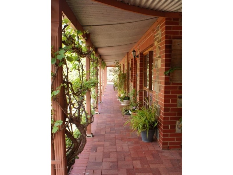 99 Standen Street, Murray Bridge SA 5253