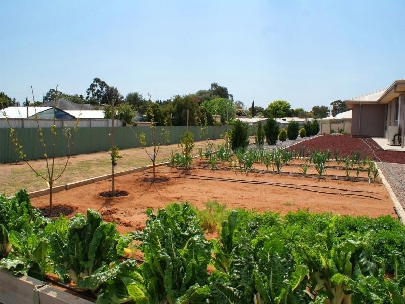 Lot 6 Little Corella Court, Murray Bridge SA 5253