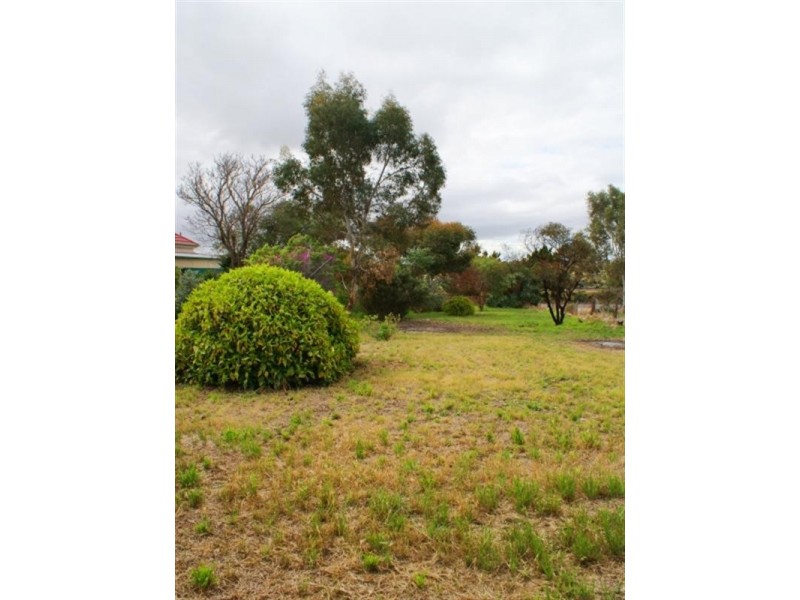 53-55 Edmund Terrace, Murray Bridge SA 5253