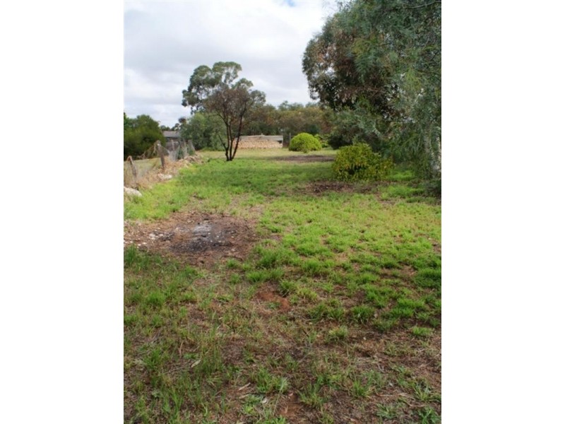 53-55 Edmund Terrace, Murray Bridge SA 5253