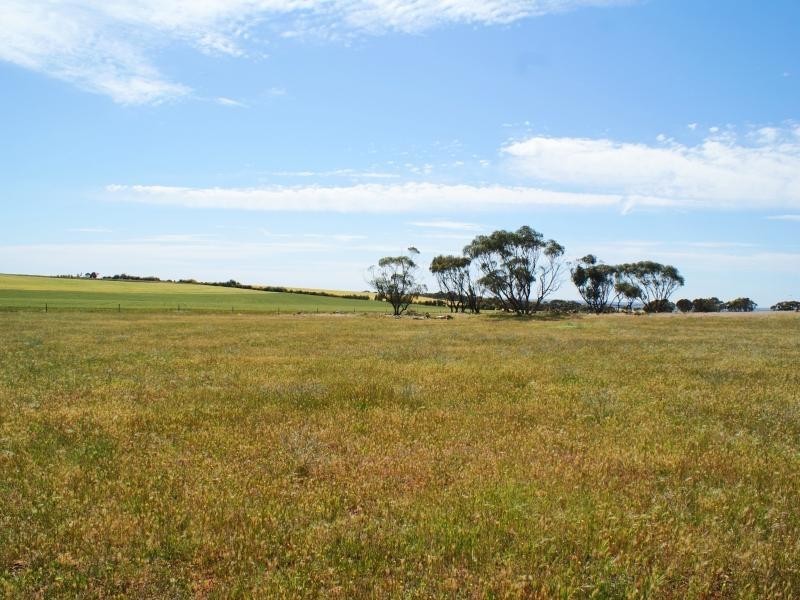 Lot 62 Pallamana Road, Murray Bridge SA 5253
