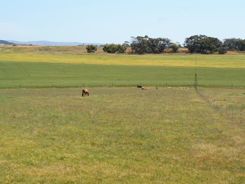 Lot 62 Pallamana Road, Murray Bridge SA 5253