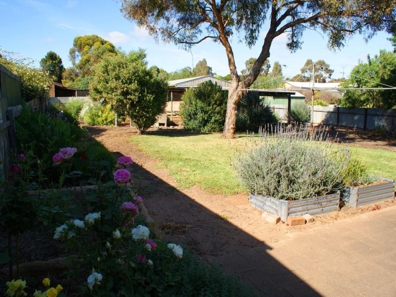 44 Alma Avenue, Murray Bridge SA 5253