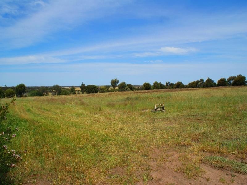 15 Old Swanport Road, Murray Bridge SA 5253