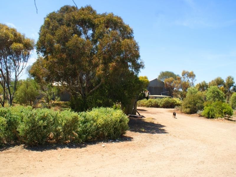 2832 Langhorne Creek Road, Langhorne Creek SA 5255